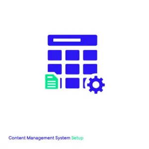Content Management System Setup